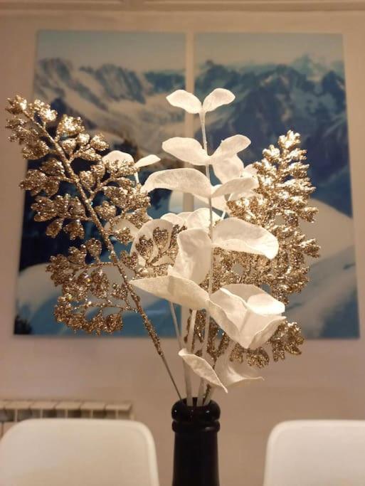 Bel Appartement Familial Et Cosy Saint-Gervais-les-Bains Dış mekan fotoğraf